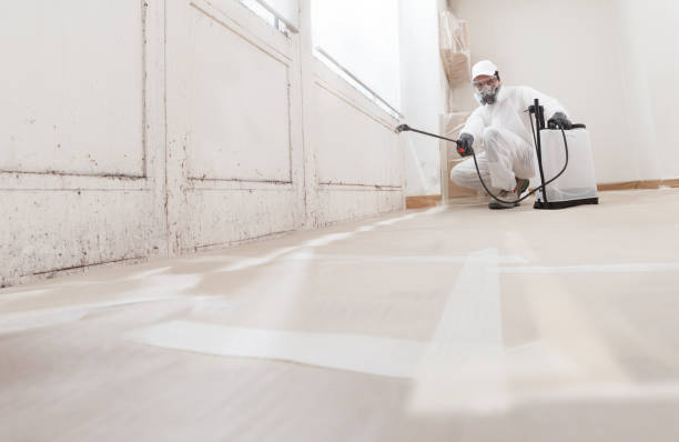 24/7 Emergency Attic Mold Remediation experts in Chester Springs, PA